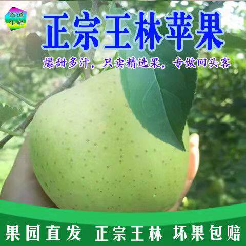 青苹果王林苹果金帅苹果当天采摘鲜果孕妇儿童酸脆甜可口绿色水果