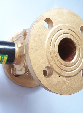 ZCS水用电磁阀DF法兰电磁阀DN80 DN100水阀 ac220v dc24的电磁阀