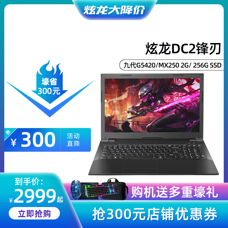 炫龙 毁灭者DC2锋刃 九代G5420/酷睿i5-9400六核 MX250独显 15.6英寸IPS屏 轻薄便携学生办公商务笔记本电脑