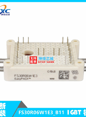 全新原装 FS30R06W1E3_B11 现货 IGBT模块 功率电子元器件