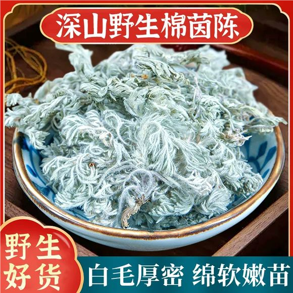 野生茵陈中药材500g250g100克2024新货三月绵茵陈蒿茶草药绵白蒿