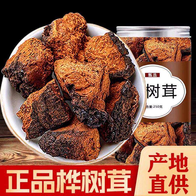 桦树茸俄罗斯进口店长白山野生华树茸白桦茸的功效和作用黑金