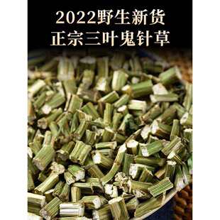 鬼针草材正品非特级野生干货泡茶泡水喝降中草药压三叶鬼针草