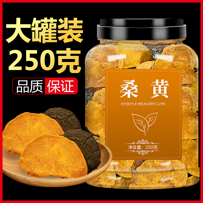桑黄野生西藏特级干货正品一斤装非500g灵芝菌种中药材泡茶的功效