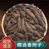 大别山野生香附子中药饮片生香附500g香附子粉中药材侧柏叶粉