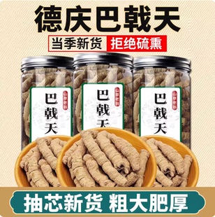 德庆巴戟天中药材正品巴戟肉新货干货泡酒煲汤特级非野生