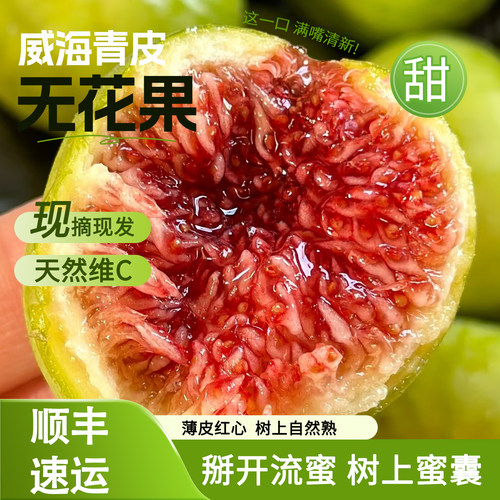 现摘新鲜无花果5斤装山东威海特产绿皮红心青皮鲜果现发孕妇水果