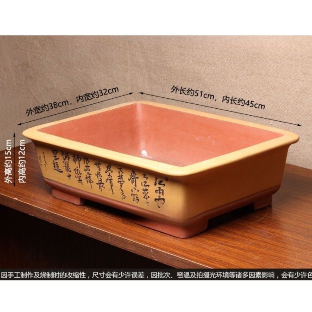 紫砂室内桌面精品兰花