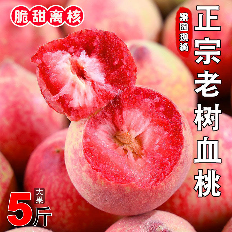 正宗老树血桃新鲜桃子5斤脆甜红肉当季头茬现摘红心农家水密毛桃