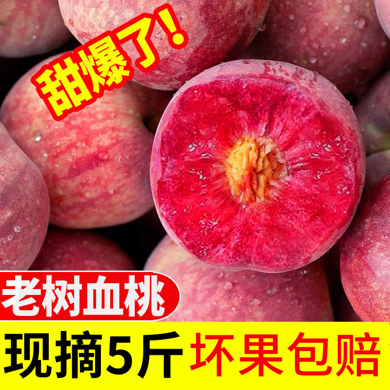 「当天现摘」脆甜红肉血桃5斤