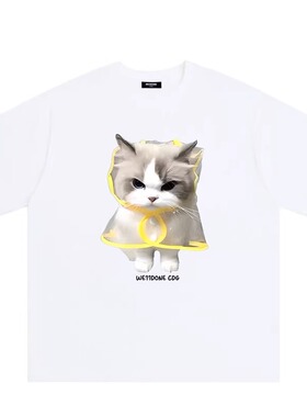 WELLDONE TRACK*26SS美式潮牌布偶猫印花重磅宽松纯棉短袖t恤夏