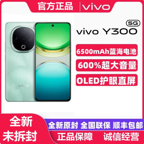 清晰拍照指纹闪充大电池Y300