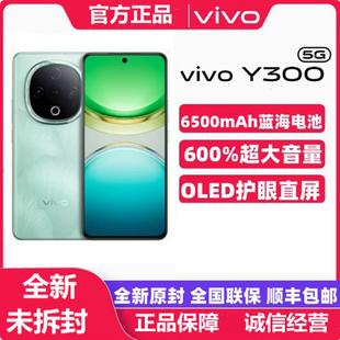 5G手机超级扬声器长续航护眼直屏学生手机正品 新品 y300 Y300 vivo
