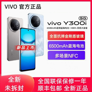 新款 y300i5G全网通6500大电池NFC红外遥控超长待机y300i手机 vivo