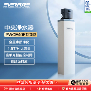 爱惠浦中央净水器商用全屋净水机主管道前置过滤器PCFE40F120