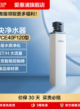 爱惠浦中央净水器商用全屋净水机主管道前置过滤器PCFE40F120