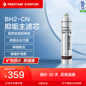 爱惠浦净水器主滤芯家用自来水过滤器直饮净水机耗材BH2