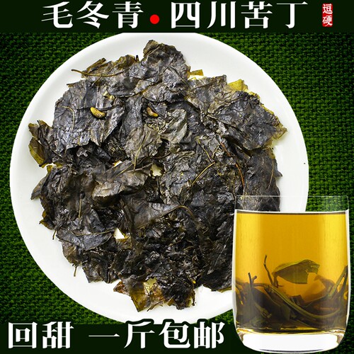 毛冬青四川降暑工地苦丁茶叶