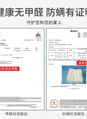 LATEX SYSTEMS泰国乳胶枕头护颈椎枕单人枕头助睡眠天然枕芯抗菌