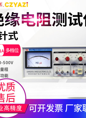 常州扬子绝缘电阻测试仪