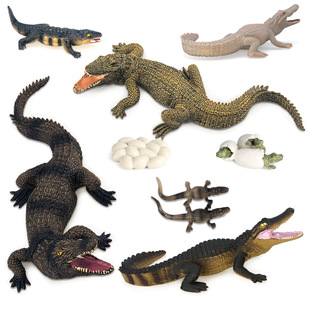 仿真儿童玩具模型扬子鳄短吻鳄实心鳄鱼创意摆件陆地两栖野生动物
