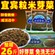 焦大哥四川宜宾碎米芽菜商用26斤颗粒梅干菜鸡米芽菜包子扣肉食材