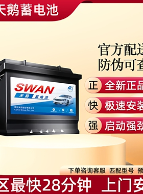 骆驼DF天鹅蓄电池L2400适配大众朗逸捷达波罗宝来途观帕萨特60AH