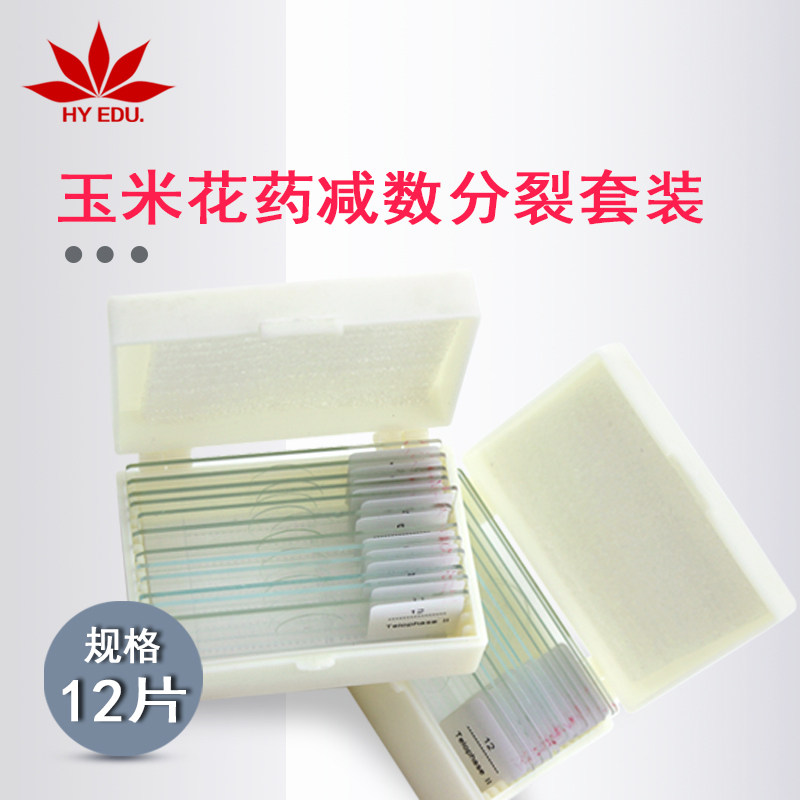 高教科研生物切片玉米花药减数分裂套装 细节清晰