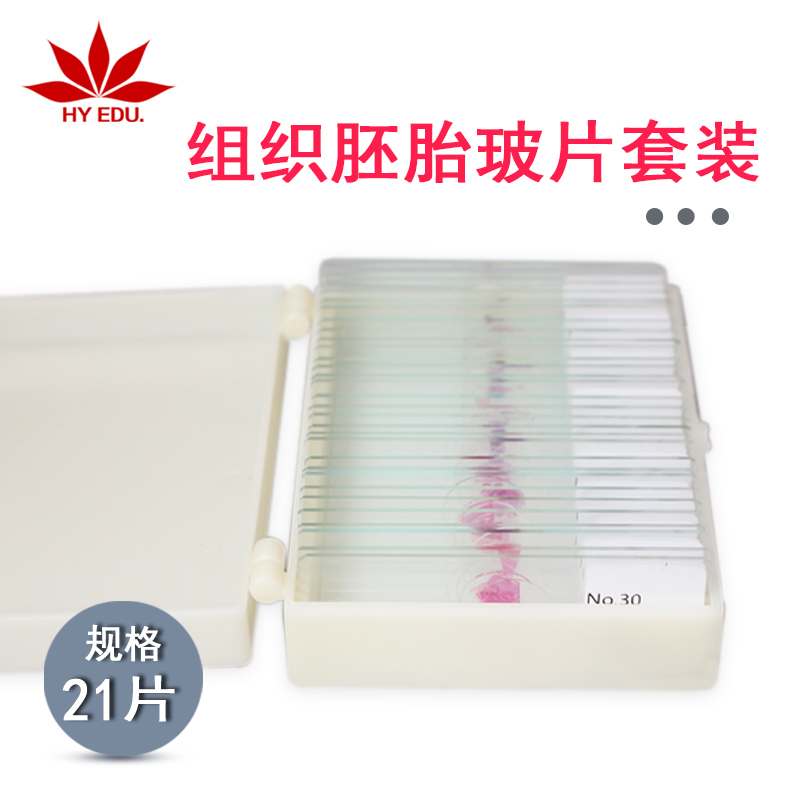 组织胚胎玻片套装片体干净