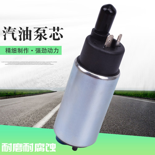 XGXT250汽油泵燃油泵芯滤网