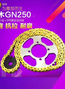 适用望江GN250铃木猪TU250X GZ250摩托车牙盘大小齿轮链条套链盘