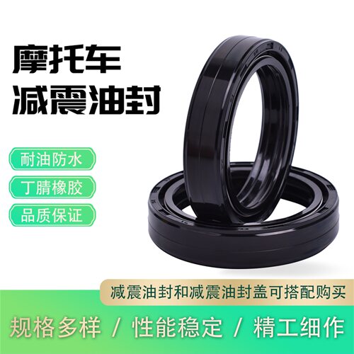 晓星GV650印第安1720前减震油封