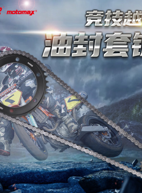 适用于雅马哈FZR/YFZ600 94-95FZS600 98-03大小飞齿链轮链条套链