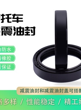 适用本田BAJA/CRE50 雅马哈T-MAX500 FZR600摩托车前叉减震器油封