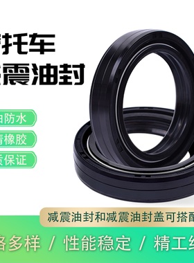 适用川崎KX80/100 KMX125 KE175/250 GPZ500摩托车前叉减震器油封