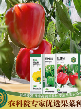 京农研番茄辣椒种子红颜草莓紫菇娘红秋葵家庭园艺易种蔬菜种籽孑