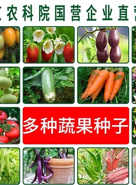 农科院蔬菜种子果菜番茄籽黄瓜玉米草莓萝卜阳台种植种籽家庭种菜