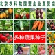 农科院蔬菜种子果菜番茄籽黄瓜玉米草莓萝卜阳台种植种籽家庭种菜