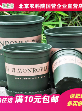 园艺加仑花盆塑料环球加仑盆多肉 矮胖盆绿萝月季蔬菜种植土包邮