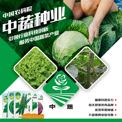 中国农科院蔬菜种子产量好抗性强