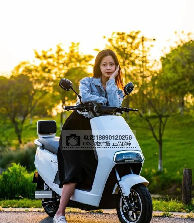 小刀电动车配件xd800dqt-54(金太子电轻摩-s全车塑料外壳灯具侧板