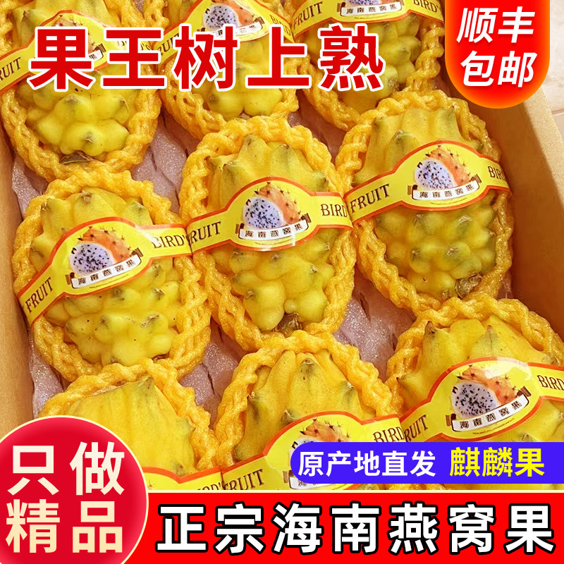 海南树上熟新鲜燕窝果顺丰速运当季热带水果麒麟果非黄色火龙果