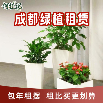 成都绿植租赁别墅庭院造景布置花箱植物种植露台花园花镜上门养护