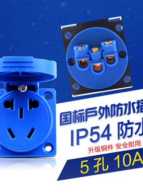 防水防护等级IP45插座220V5孔二三插10A国标防尘翻盖电源插座暗装