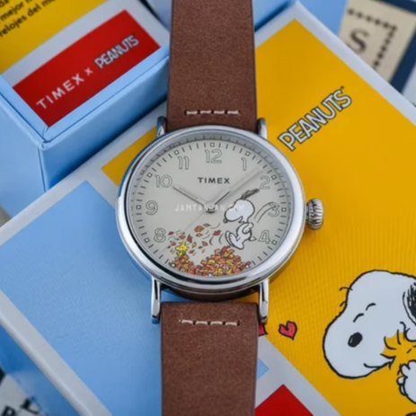 代购Timex Standard x Peanuts天美时史努比联名秋天特色手表