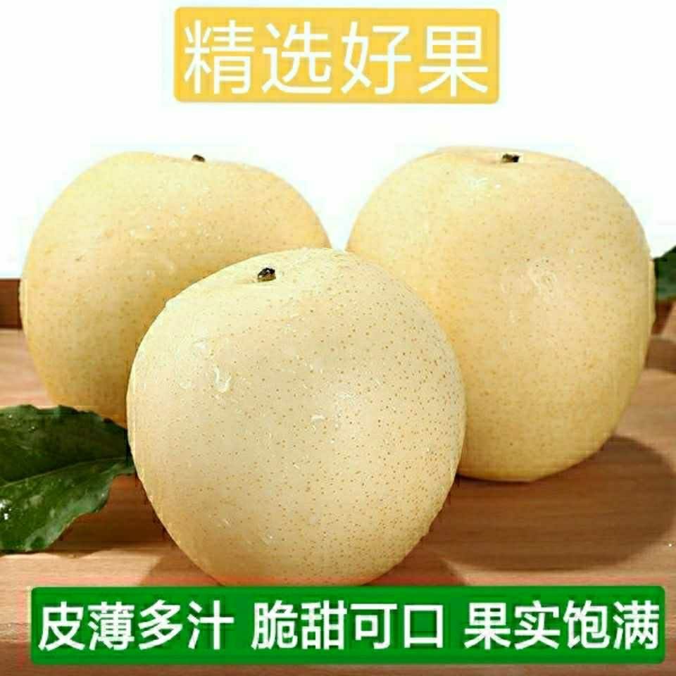 河北正宗皇冠梨整箱批发包邮新鲜梨子应季水果脆甜花斑非雪梨鸭梨