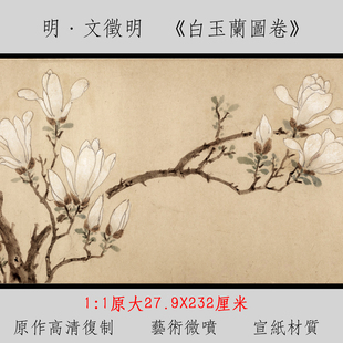 白玉兰图卷 文徵明 27.9X232cm 包邮 宣纸画芯古画原作高清复制