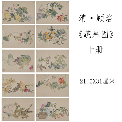 顾洛国画高清临摹范本小品花鸟