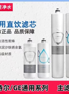 pentair/滨特尔GE净水器滤芯VOC3000S/VOC6000S/VIR1500S/ATS2500