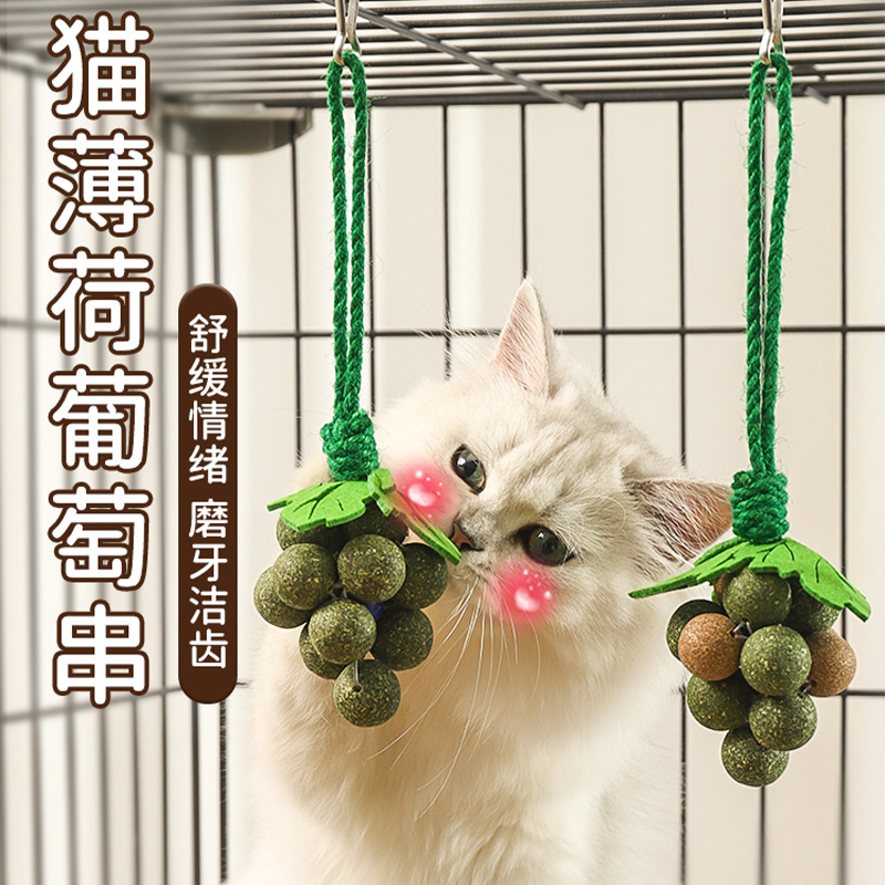 猫薄荷葡萄串磨牙棒可挂笼子悬挂